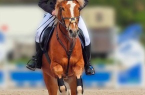 Schweizer Tierschutz STS: Medienmitteilung: Pferdesportturniere - Verbesserungen, aber weiterhin auch Mängel aus Tierschutzsicht