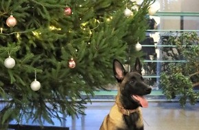 Kreispolizeibeh&ouml;rde Viersen: POL-VIE: Viersen: Neuer Diensthund Mila verst&auml;rkt die Polizei Viersen