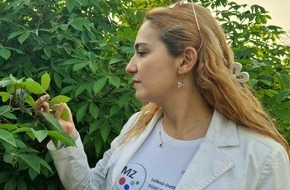 Leibniz-Institut DSMZ-Deutsche Sammlung von Mikroorganismen und Zellkulturen GmbH: Virencheck f&uuml;r die Weltern&auml;hrung: Wie die DSMZ den sicheren Austausch von Cassava-Material zwischen S&uuml;damerika und Afrika unterst&uuml;tzt
