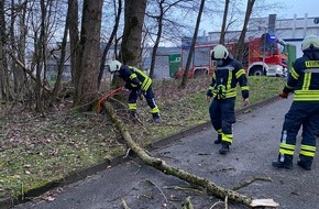 Feuerwehr Sprockhövel: FW-EN: Ölspur und umgestürzter Baum