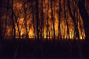 FW-SE: Gefahr durch Wald- und Vegetationsbrände
