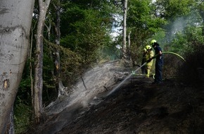 Feuerwehr Ratingen: FW Ratingen: 30.06.20 Vegetationsbrand am Blauen See