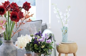 Blumenbüro: Satte Farbenpracht zum winterlichen Interieur / Weihnachtliches Arrangement aus Amaryllis, Orchidee und Lisianthus