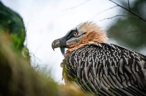 Verband der Zoologischen Gärten (VdZ): Mit Artenschutz unsere Erde erhalten / Zooverband appelliert zum Tag des Artenschutzes für gemeinsames Handeln