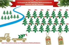 Coop Genossenschaft: 7 von 10 Weihnachtsbäumen stammen aus der Schweiz / Taten statt Worte Nr. 300: Coop setzt auf einheimische Weihnachtsbäume