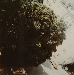 Hannah Villiger: Sculpting the Self