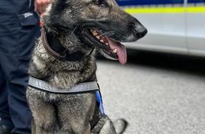 Hauptzollamt Rosenheim: HZA-RO: Uhren und Schmuck, sogar eine beliebte Küchenmaschine unter dem Hammer / ZOLL auf dem Bad Reichenhaller Stadtfest mit öffentlicher Versteigerung und Hundevorführung