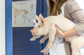 Gesellschaft Schweizer Tier&auml;rztinnen und Tier&auml;rzte (GST): Des v&eacute;t&eacute;rinaires racontent leur parcours professionnel