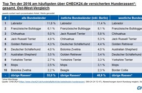 CHECK24 GmbH: Hundehaftpflichtversicherung: Labrador beliebteste Hunderasse 2016