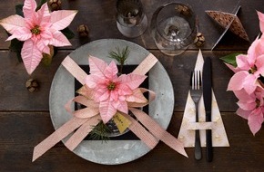 Stars for Europe GbR: Farbenfroher Blumenschmuck für die Festtafel - Tischdekorationen mit Weihnachtssternen im natürlichen Green Living-Stil