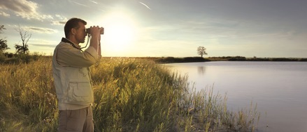 Burgenland Tourismus: Es zirpt und zwitschert schon im Burgenland - BILD