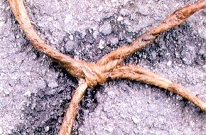 Polizei Bielefeld: POL-BI: Cold Case: Auffindung einer unbekannten Toten im Jahr 2001 im Godelheimer See bei H&ouml;xter - Polizei geht von Verbrechen aus