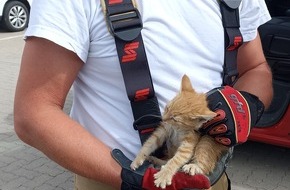 Polizeipr&auml;sidium Neubrandenburg: POL-NB: Kleine Katze im Gl&uuml;ck - Polizei und Feuerwehr retten rotes K&auml;tzchen aus Motorraum