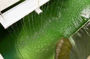 Verband kommunaler Unternehmen e.V. (VKU): VKU zur geplanten Richtlinie über die Konzessionsvergabe / EU-Eingriff in Wasserversorgung: VKU warnt eindringlich vor bürgerfernen Plänen aus Brüssel (BILD)