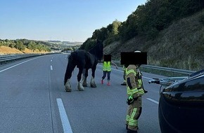 Autobahnpolizeiinspektion: API-TH: Da steht ein Pferd auf der Autobahn
