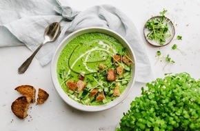 Getnow New GmbH: Themenvorschlag: Microgreens - Sommer Superfood + Gazpacho Rezept