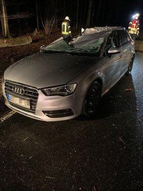 POL-ROW: ++ Audi fährt gegen umgestürzten Baum - Drei Insassen verletzt ++ Hansalinie A1 - 40-Jähriger Autofahrer bei Unfall schwer verletzt ++ Berauscht, ohne Führerschein erwischt ++