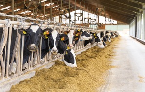 GMC Marketing GmbH: Gesunde Kühe sind die Voraussetzung für eine nachhaltige Milchproduktion / Warum gesunde Kühe den entscheidenden Beitrag zur Nachhaltigkeit in der Lebensmittelerzeugung leisten