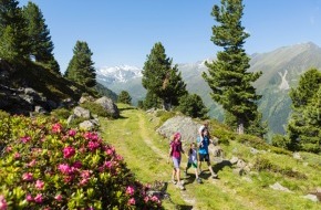 Innsbruck Tourismus: Berghänge in Pink: Die Almrosenblüte im Kühtai/Sellraintal bei einer Ferienwoche (21.-27.6.14) erleben - BILD
