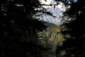 Herbstzeit in den Dolomiten