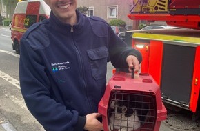Feuerwehr Mülheim an der Ruhr: FW-MH: Junge Katze aus Kamin befreit
