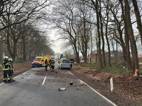 FW-AUR: Baum-Aufprall rei&szlig;t Motorblock aus PKW