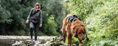 Naturmuseum Solothurn: Artenspürhunde und Insektenspuren - 2 Anlässe zur Spurenausstellung im Naturmuseum Solothurn