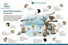 NABU: NABU: Viele Menschen, wenig Vögel / Zwischenergebnisse zur "Stunde der Wintervögel" aus über 56.000 Gärten