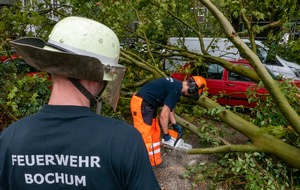 Feuerwehr Bochum: FW-BO: Umgestürzte Bäume durch kurzes aber heftiges Gewitter im Ehrenfeld