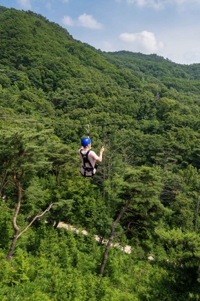Mehr als Meetings: Vier einzigartige Teambuilding-Formate in Südkorea