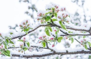 WetterOnline Meteorologische Dienstleistungen GmbH: April, April - der macht, was er will! / Das ist Aprilwetter