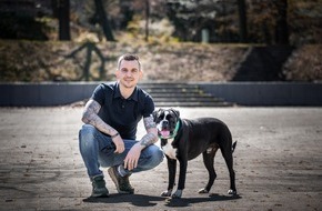 Hundetrainer Steve Kaye: 5 Dos and 5 Don'ts für den richtigen Umgang mit Hunden im Sommer