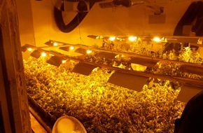 Polizeipräsidium Recklinghausen: POL-RE: Herten: Marihuana-Plantage bei Durchsuchung einer Lagerhalle aufgefunden