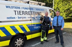 Polizeidirektion Neustadt/Weinstra&szlig;e: POL-PDNW: Tierische Rettungsaktion - Verletzter Greifvogel in Not auf der BAB65