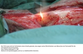 Schweizerischer Nationalfonds / Fonds national suisse: FNS: Image du mois avril 2007: Une technique qui ménage les tissus
