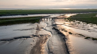 Heinz Sielmann Stiftung: PM Langwarder Groden im Nationalpark Niedersächsisches Wattenmeer ist Naturwunder des Jahres 2024