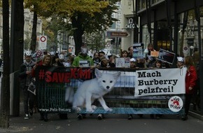 VIER PFOTEN - Stiftung für Tierschutz: VIER PFOTEN führte am gestrigen Samstag erfolgreich einen Protestmarsch zur Rettung von Fuchswelpe Kimi in Zürich durch (BILD)