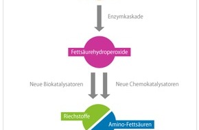 Technische Hochschule Köln: Vorprodukte für die Kunststoffindustrie aus nachwachsenden Quellen