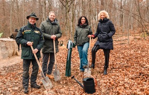 Friedhof im Wald - FriedWald R&uuml;mmingen er&ouml;ffnet