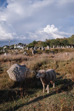 Erste UNESCO-Weltkulturerbestätte in der Bretagne: Die Steinreihen von Carnac und die Megalithlandschaft am Meer