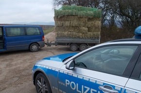 Polizeidirektion Landau: POL-PDLD: Ladungssicherung: Mangelhaft!