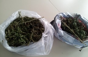 Polizeiinspektion Northeim: POL-NOM: Polizeibeamte haben den richtigen Riecher/Ca. 1 kg Cannabis und professionelle Indooranlage sichergestellt