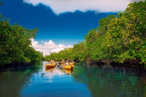 Fort Myers &ndash; Islands, Beaches &amp; Neighborhoods
