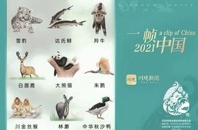 Sichuan Daily: Sichuan Tageszeitung: Lass uns auf die Artenvielfalt achten und uns der Natur nahestehen