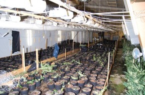 Polizeiinspektion Northeim: POL-NOM: Cannabisplantage in ehemaligem Fabrikgelände entdeckt - Bilder im Anhang