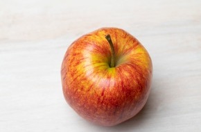 Deutschland - Mein Garten (eine Initiative der Bundesvereinigung der Erzeugerorganisationen Obst und Gemüse / BVEO): Äpfel on the Road! Bahn frei für die Tag des Deutschen Apfel-Trucks