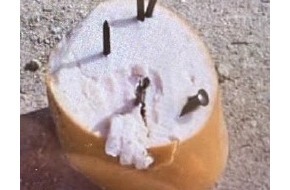 Kreispolizeibeh&ouml;rde Soest: POL-SO: Verd&auml;chtige Hundek&ouml;der in Lippstadt - Polizei bittet dringend um Zeugenhinweise