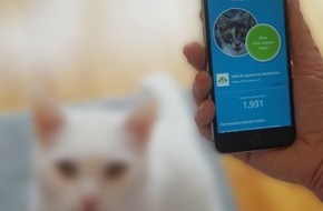 feed a cat: Neue App "feed a cat" hilft Katzen in Not