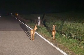 Polizeiinspektion Harburg: POL-WL: Achtung Wildwechsel!