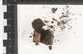 Polizeiinspektion Stade: POL-STD: Mögliche Giftköder im Buxtehuder Stadtpark gefunden - Polizei ruft Hundehalter zur Umsicht auf und sucht Zeugen